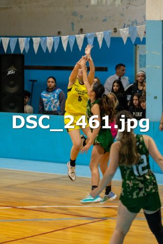DSC 2461
